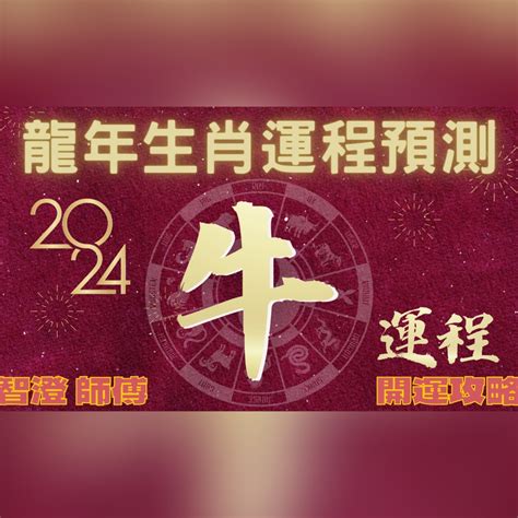 甲辰龍年|2024甲辰龍年 十二生肖開運指南 (下) 